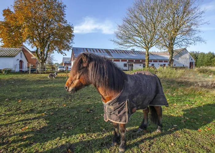 4 Star In Hébergement de vacances